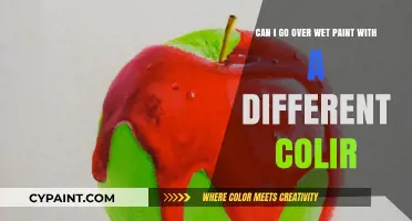 Painting Over Wet Paint: Tips for Changing Colors Seamlessly