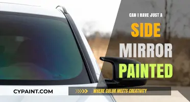 Revamping Your Ride: The Impact of a Freshly Painted Side Mirror