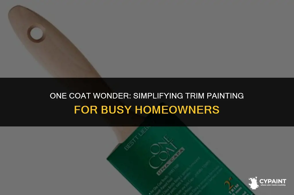 can i just paint 1 coat on trim