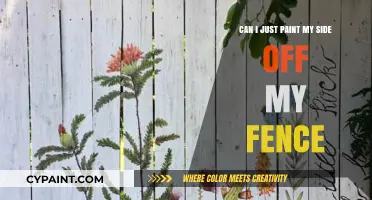 Painting Your Fence: What's Allowed?