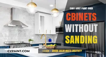 Revamping Cabinets: The Ultimate Guide to Painting Without Sanding