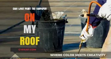 The Best Way to Paint Roof Tar Paper