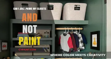 Primer Power: Painting Closets, the Pros and Cons