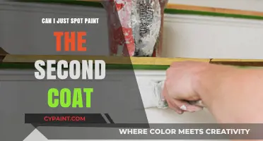 Touching Up or Starting Over: The Spot Paint Dilemma