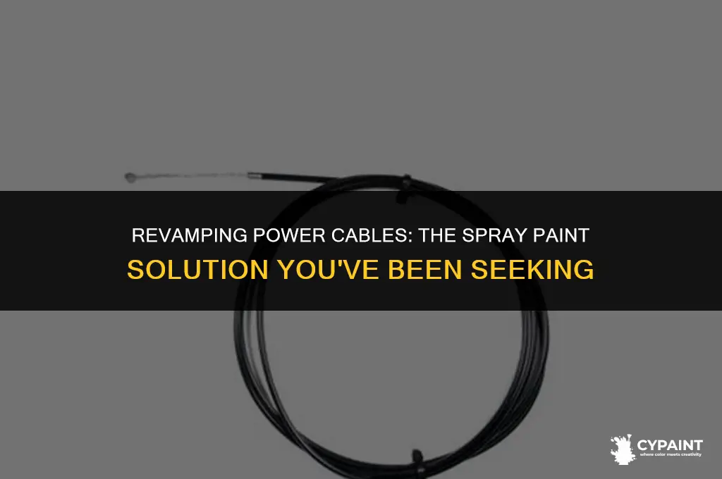 can i just spreay paint my power cables