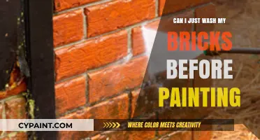 Reviving Your Bricks: A Guide to Pre-Paint Washing