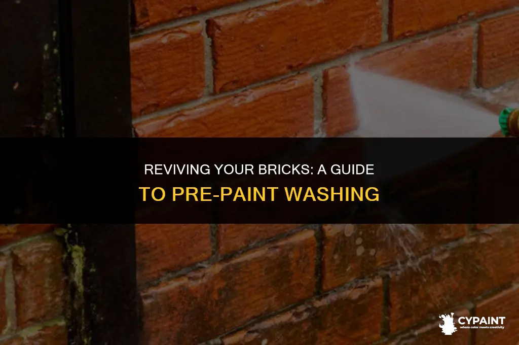 can i just wash my bricks before painting