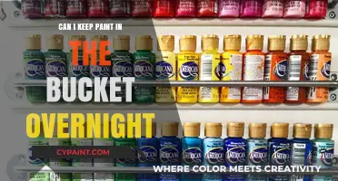 Overnight Paint Storage: Tips to Keep Your Paint Fresh