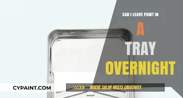 Overnight Paint Tray Storage: Tips and Tricks for Painters