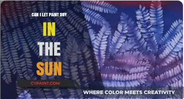 Sun-Drying Paint: A Speedy Solution or a Risky Shortcut?