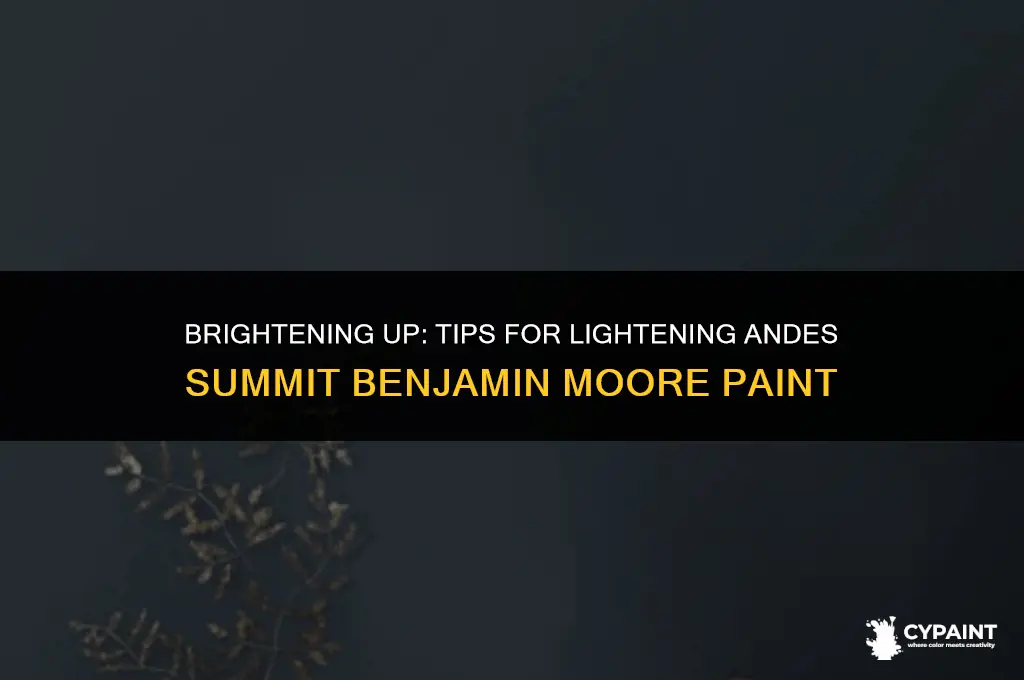 can i lighten andes summit benjamin moore paint