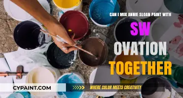 Mixing Annie Sloan and SW Ovation Paint: A Creative Blend?