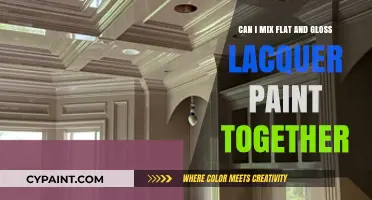Combining Flat and Gloss Lacquer Paint: A Smart Mix?