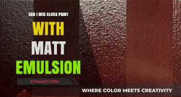 Blending Finishes: Can Gloss Paint Meet Matte Emulsion?