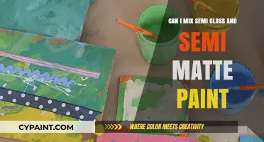 Combining Gloss and Matte Paint: A Creative Blend?