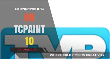 TVPaint 11 Files on Version 10: Compatibility Explained