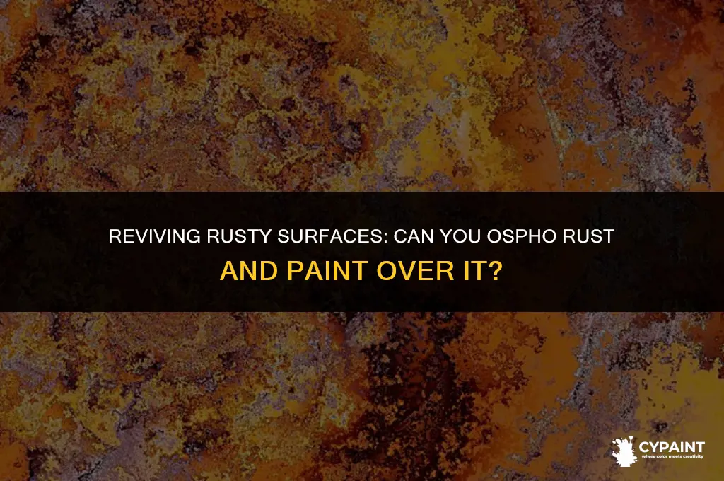 can i ospho rust then paint over it