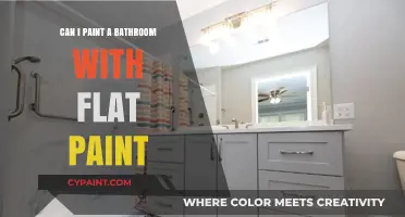 Revamping Your Bathroom: The Pros and Cons of Using Flat Paint