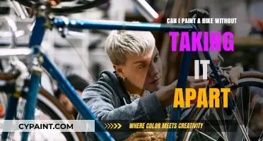 Transform Your Bike With a Paint Job