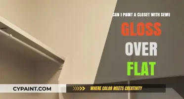 Painting Over Flat Paint: Using Semi-Gloss in Your Closet