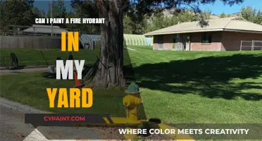 How to Paint a Fire Hydrant in Your Yard?