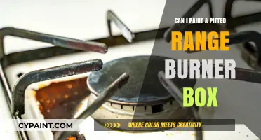 Reviving Your Pitted Range Burner Box: A DIY Painting Guide