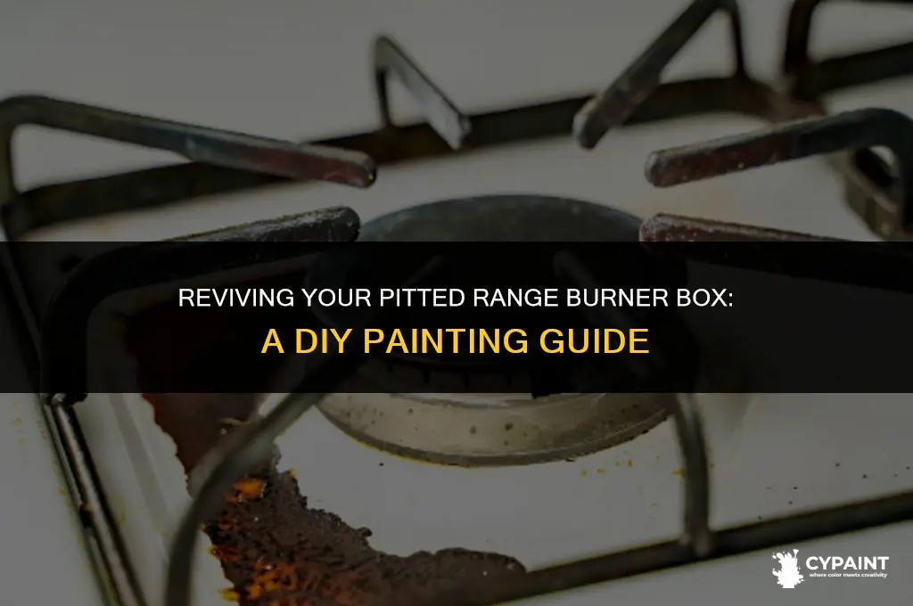 can i paint a pitted range burner box