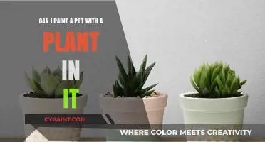 Painting Pots with Plants Inside: Tips and Tricks for Success