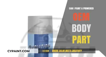Primer on Painting: Can You Paint a Primed OEM Body Part?