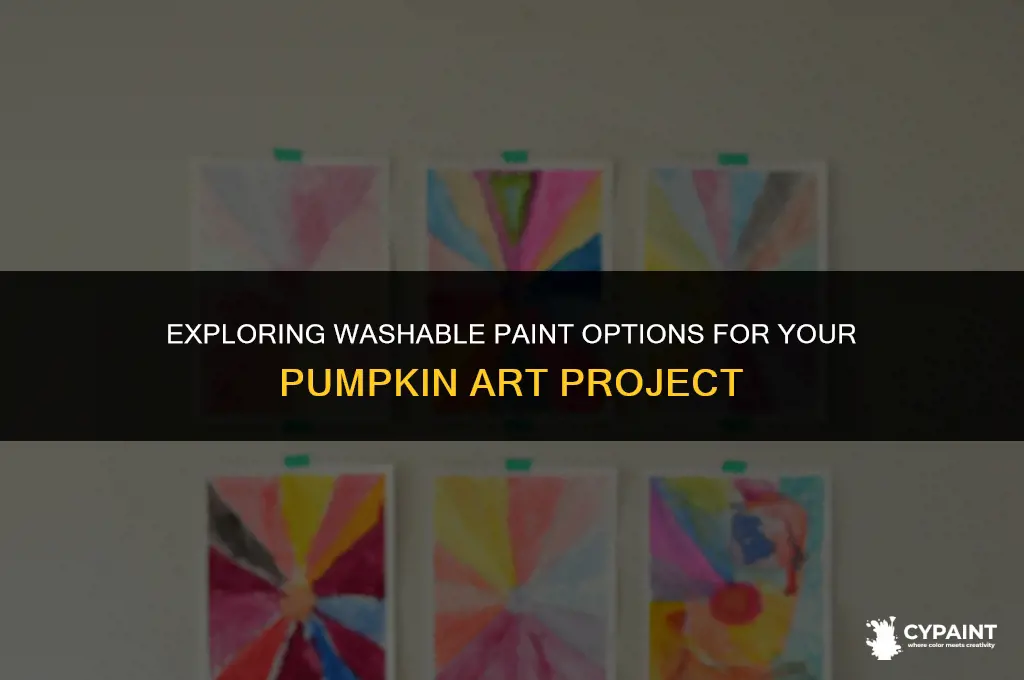 can i paint a pumpkin with washable paint