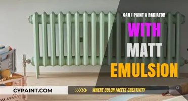 Revamping Your Radiator: The Do's and Don'ts of Using Matt Emulsion