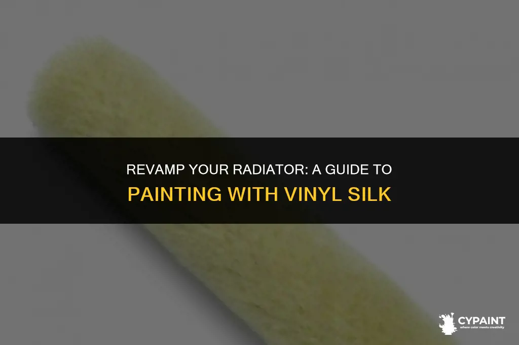 can i paint a radiator with vinyl silk