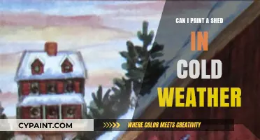 Chilly Shed Makeover: Tips for Painting in Cold Weather
