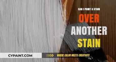 Revamping Your Space: The Art of Painting Over Stains