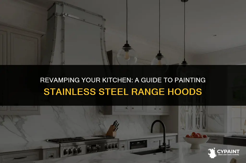 can i paint a stainless steel range hood