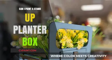 Revamp Your Outdoor Space: Painting a Stand-Up Planter Box
