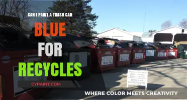 Transforming Trash Cans: Painting for Proper Recycling