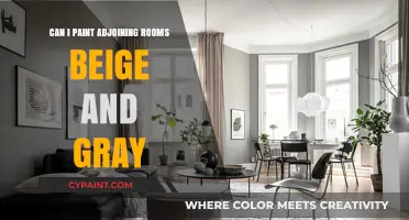 Harmonizing Hues: Beige and Gray in Adjoining Rooms