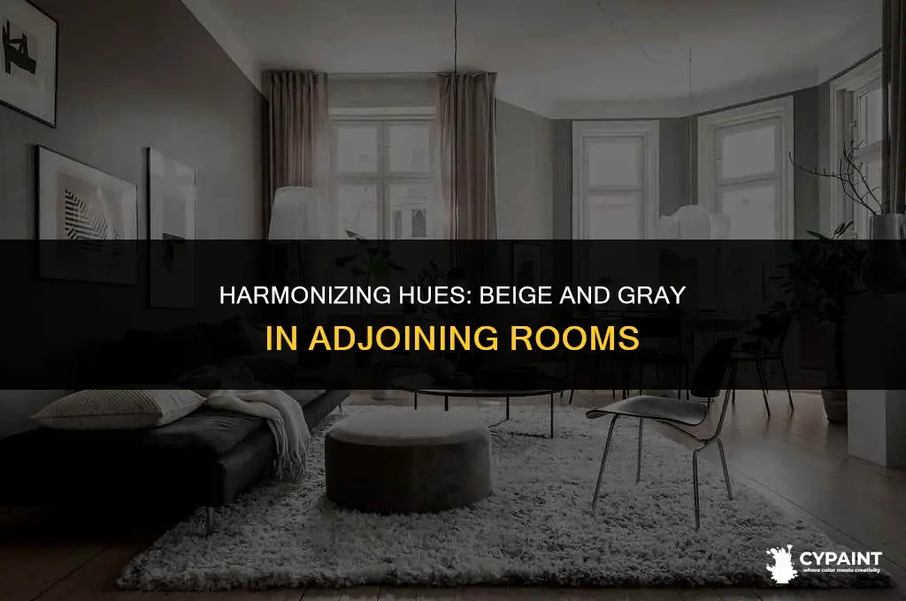 can i paint adjoining rooms beige and gray