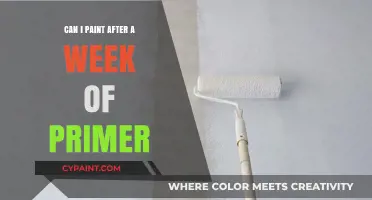 Ready to Paint: A Week Post-Primer Preparation Guide