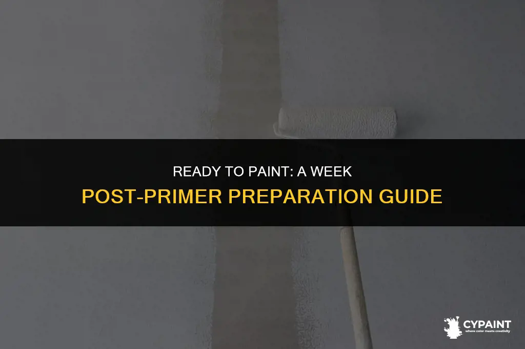can i paint after a week of primer