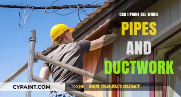 Revamping Your Home: Painting Wires, Pipes, and Ductwork - A DIY Guide