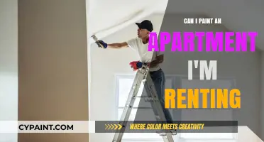 Transforming Your Rented Space: A Guide to Painting Apartments