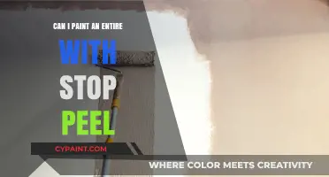 Revive Your Walls: The Ultimate Guide to Stop-Peel Painting
