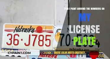 Painting Around License Plate Numbers: Legal or Risky Move?