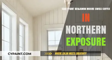 Painting with Swiss Coffee: Northern Exposure Tips for Benjamin Moore