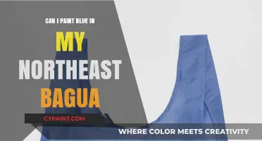 Northeast Bagua Blues: A Guide to Painting Your Space