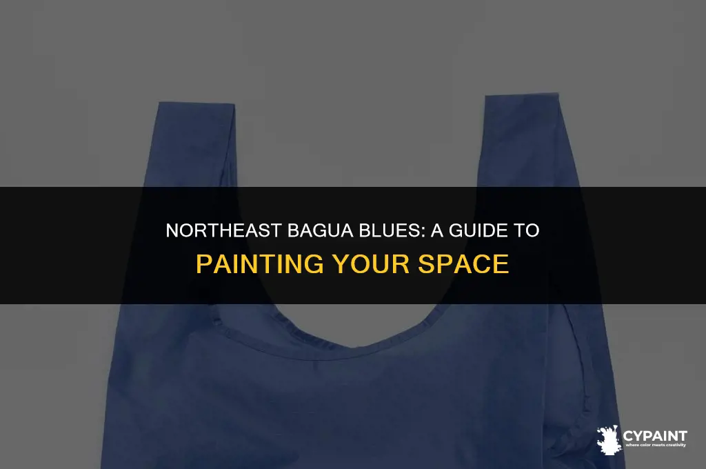 can i paint blue in my northeast bagua