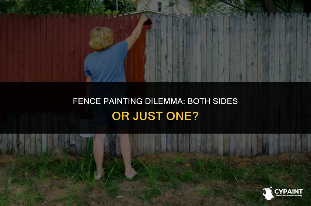 can i paint both sides of my fence