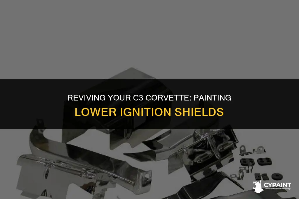 can i paint c3 corvette lower ignition shields